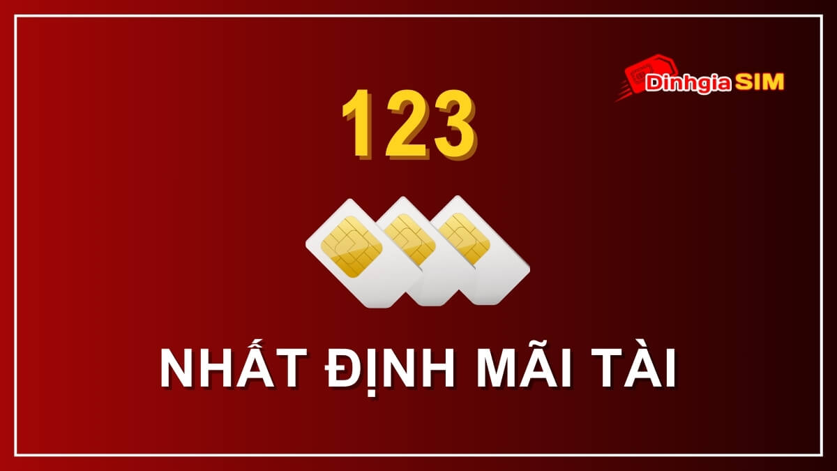 Ý nghĩa đuôi sim 123 là gì?