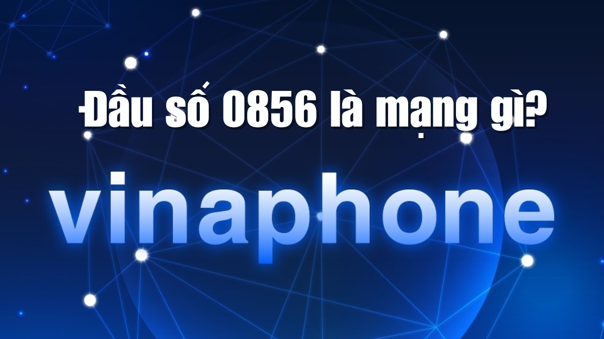 Đầu số điện thoại 0856 là mạng gì? Ý nghĩa phong thủy đầu số 0856