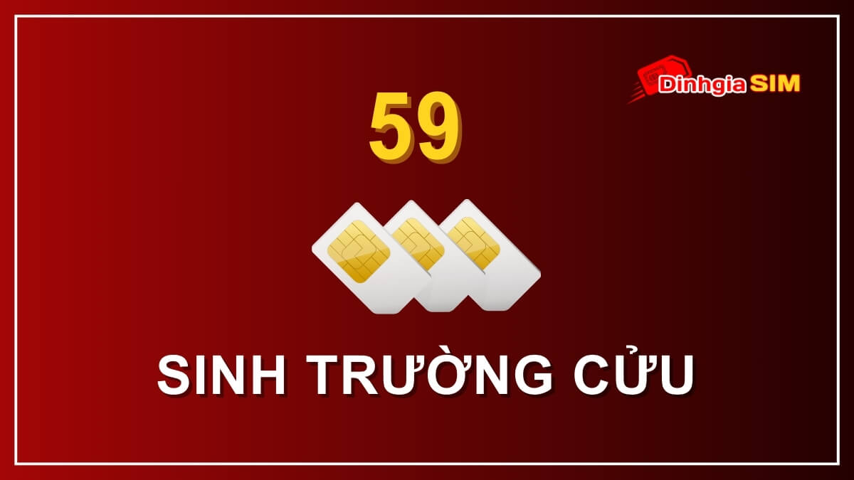 Sim đuôi 59 có ý nghĩa gì?