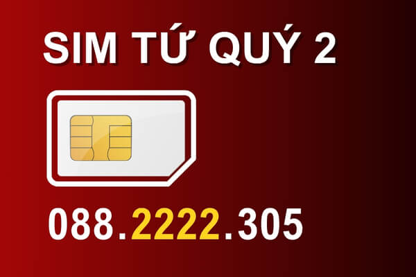 Sim tứ quý 2 có ý nghĩa gì?