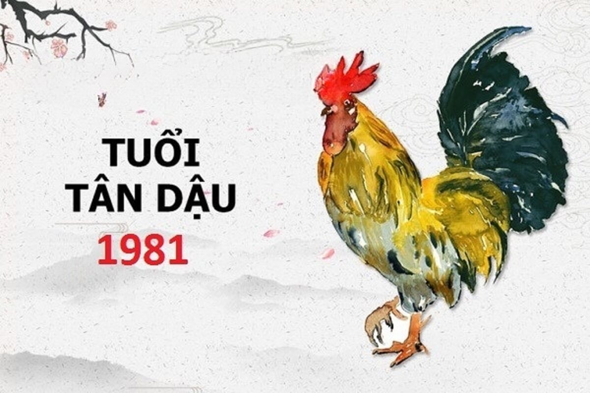 Số điện thoại hợp tuổi Tân Dậu 1981? 