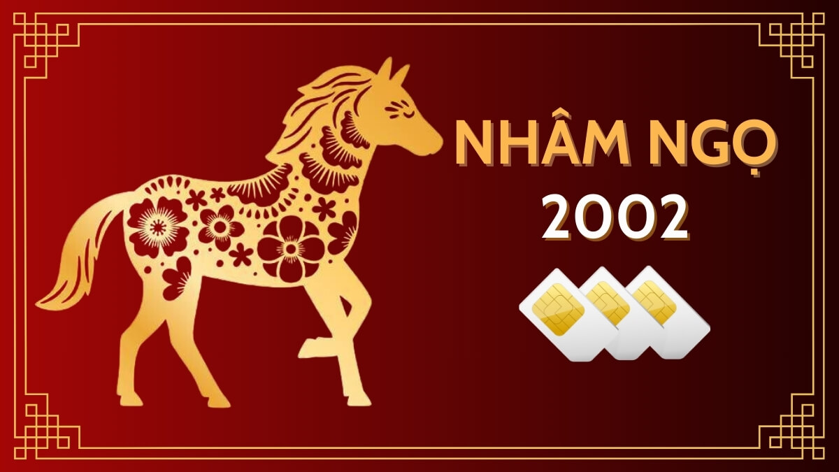 Sim hợp tuổi 2002 Nhâm Ngọ? Định giá sim số đẹp hợp tuổi 2002