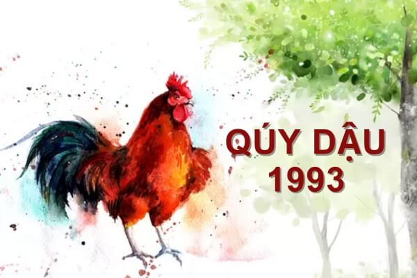 Cách chọn sim hợp tuổi 1993 Quý Dậu